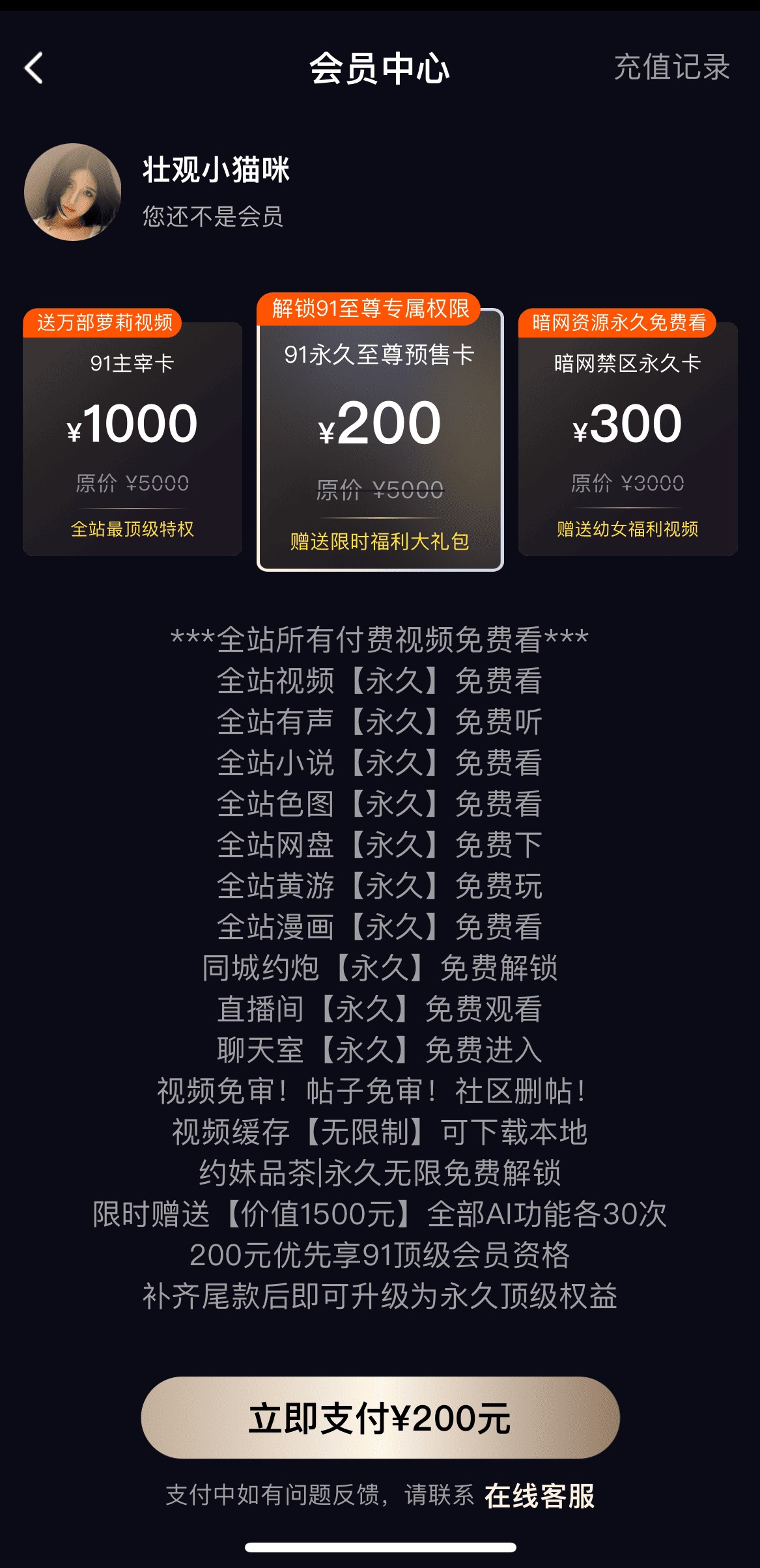 91POAPP会员开通页权益层级与套餐方案选择界面